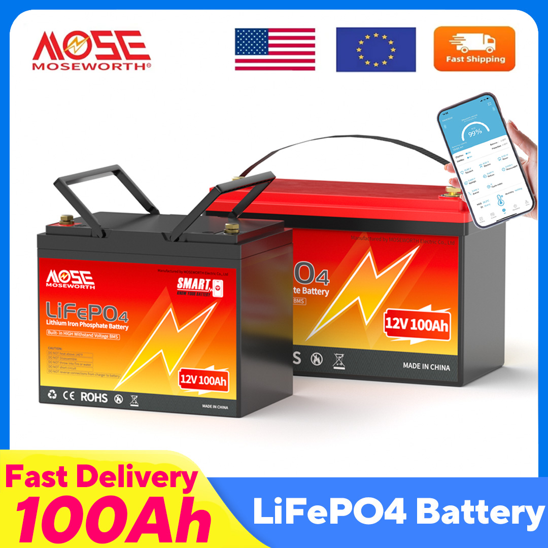 Lifepo4 12V 100Ah Bms Bluetooth - MOSEWORTH LiFePO4 12V 100Ah バッテリーパック 12.8V