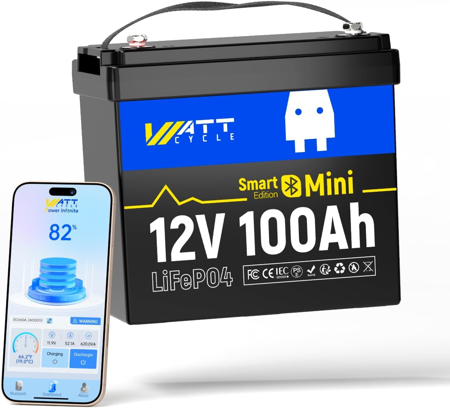 Lifepo4 12V 100Ah Bms Bluetooth - 12V 100Ah ミニLiFePO4バッテリーグループ 24 100A BMS