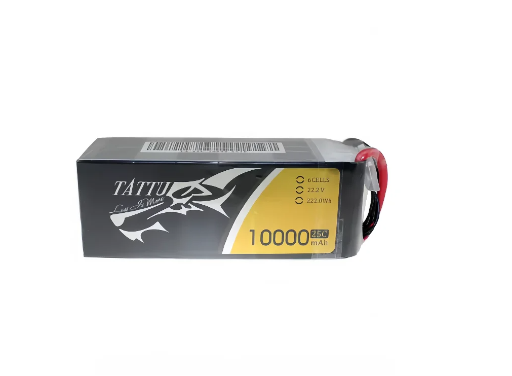 ACE TATTU LiPo 6S 35C 10000mAh - Tattu 6S 22000Mah Lipo Battery のレビューと価格
