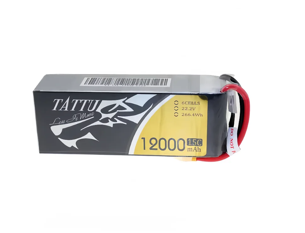 ACE TATTU LiPo 6S 35C 10000mAh - Tattu 6S 22000Mah Lipo Battery のレビューと価格