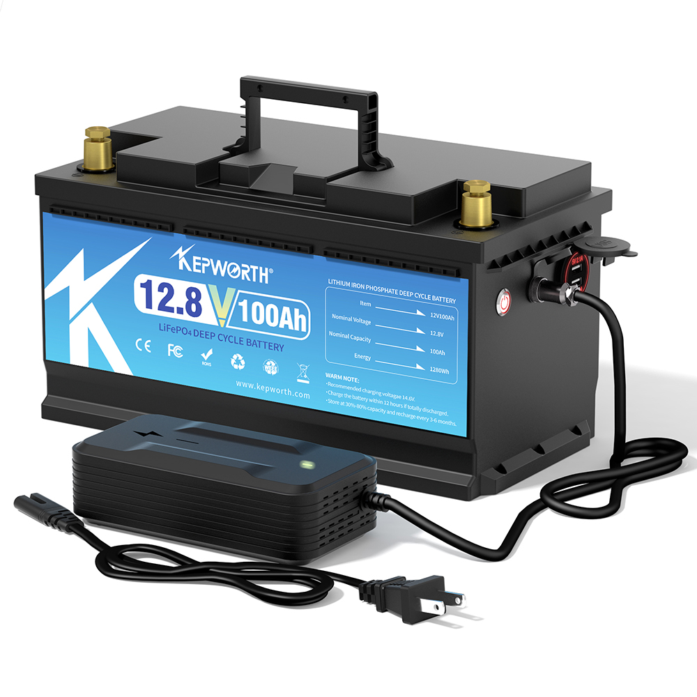 12V 24V 100AH 120AH 300AH LiFe - Lifepo4 12V 100Ah Bms Bluetooth のレビューと価格